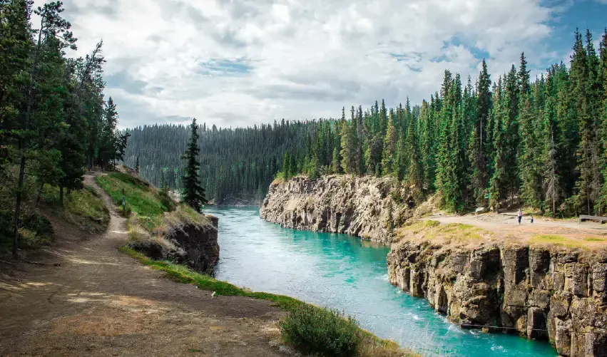 Viaje canada-vancouver-whitehorse-4575