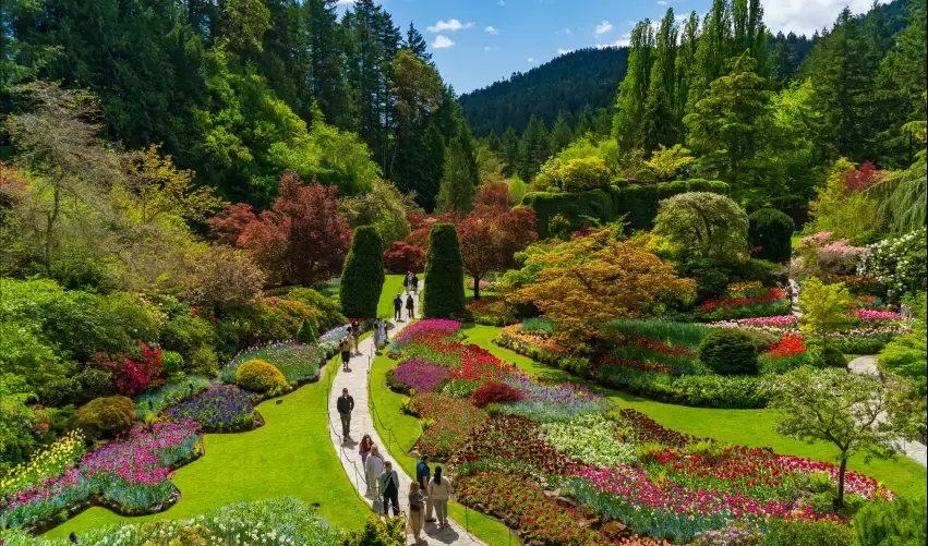 Viaje canada-vancouver-victoria-tvg-5068