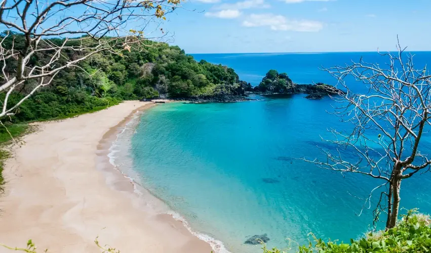 Viaje tour-sao-paulo-noronha-5483