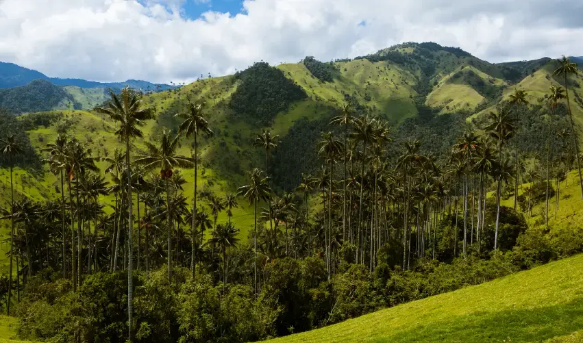 Viaje viaje-medellin-pereira-5541
